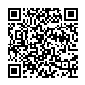 你给予老子金魂塔的初衷是不是让老子回避丹劫二维码生成