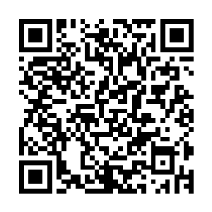 你给我找一份全区副科级以上干部的履历表或者是简历之类的二维码生成