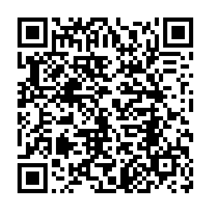 你给我说说星光冒险团和斧头佣兵团是如何控制地球星兽肉市场的二维码生成