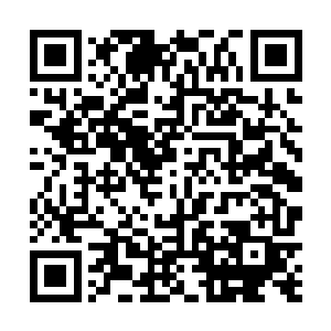 你绝对会死无葬身之地的……我大哥绝对不会饶过你的二维码生成