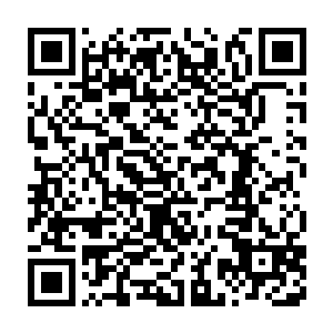 你绝对算不到人类为了守护他们的家园可以团结和拼搏到什么程度二维码生成