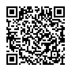 你肯定是这样的一个彻头彻尾的土鳖傻鸟加傻逼二维码生成