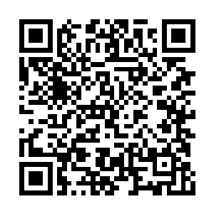 你能和我说说之前在那废弃仓库究竟发生了什么二维码生成