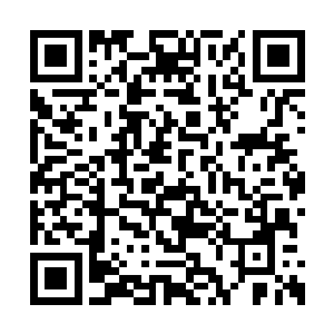 你能够成功的揭发了这起大劫案的真正幕后主使二维码生成