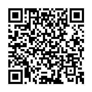 你能够认识的最多就是一些不入流的所谓世家子二维码生成