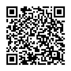 你能想到我能有机会在京城里游刃有余的跟那么多人结交吗二维码生成