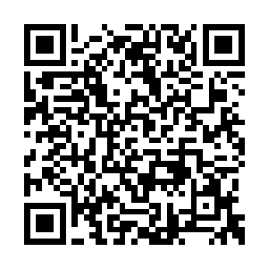 你脚下三人外加韩伯龙那厮此时都已是昏迷不醒二维码生成