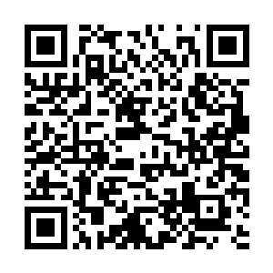 你自己照照镜子看看你那个胆小如鼠呆头鹅的样子二维码生成