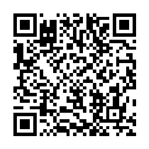 你自己说的西大陆从空气到土壤都限制了你的能力和寿命二维码生成