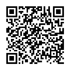 你至少得先回答我一个问题――我可以把灯打开了吗二维码生成