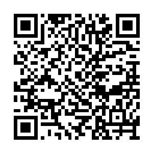 你虽然在联邦大学初试中取得了第一名的好成绩二维码生成