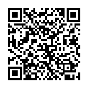 你要不要我向大家解释一下你为什么会欠我那么银子啊二维码生成