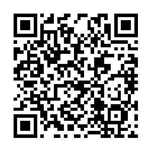 你要不要打个电话过去关心一下这个棒子国欧巴呀二维码生成