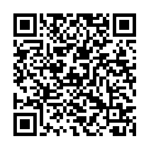你要再提那两个字我就将你永远封印在我的识海中二维码生成