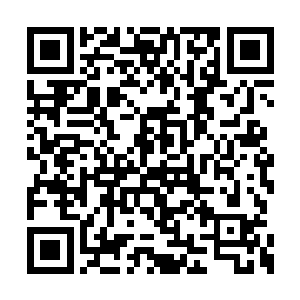 你要我和其他有角族怎么信任你们白角族的判断二维码生成