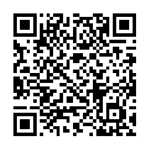 你要是再跟儿子动手还不如要了我的命・・・・・・二维码生成