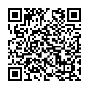 你要是真的厉害为什么要用凌菲弄的闹羊花去打猎二维码生成