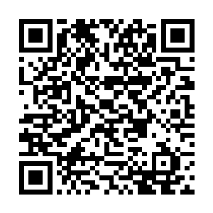 你要是继续将这张花容月貌的脸孔目不转睛的看下去二维码生成