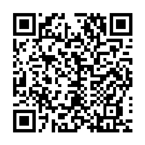 你要是舍得让你的身体受一点点苦的话我也可以无条件睡地上二维码生成