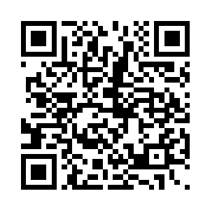 你要杀我的确和捏死一只蝼蚁没什么两样二维码生成