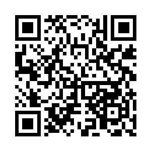 你要汇报陈离江案的犯罪心理研究结论二维码生成