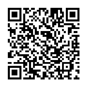 你要清楚一个圣前举人孤身闯入第七长廊代表着什么二维码生成