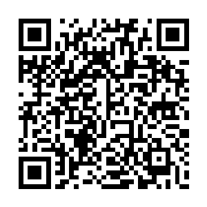 你要真想找血沙侯麻烦……我可以帮你联系皇族二维码生成