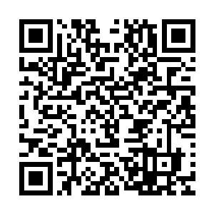 你要知道就连宝器峰的峰主也就只能够锻造出来五品的钢精啊二维码生成