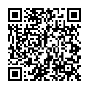 你见到老首领的时候把我这里三十几匹马的事情说一下二维码生成