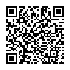 你见过有任何一个伪仙人能够一次性的吸收掉这么多的仙力吗二维码生成