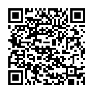 你觉得一个圣药师可以有多少种方法让你生不如死二维码生成