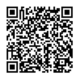 你觉得在这边陪着笑脸回忆一下青春说几句好话那个老不死的就会让我回来二维码生成