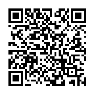 你觉得妖帝怎么才能够在半年之内找到足以对抗冷轩的人手二维码生成