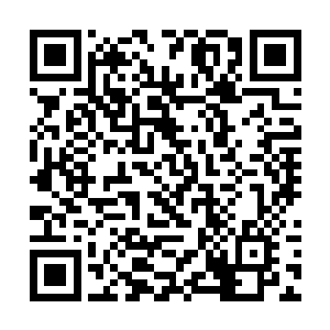 你觉得我们滨海市还值得你们投资商投入大量资金吗二维码生成