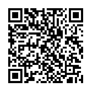 你觉得我有必要因为你的缘故去和张胖子这样的人物为敌吗二维码生成