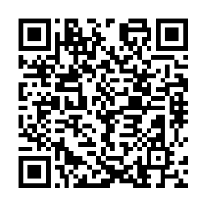 你觉得我父皇会为了我愿意拿出这么多的东西来赔偿吗二维码生成