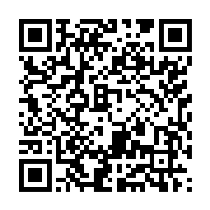 你觉得我这个巫士难道还没有在外面自保的力量么二维码生成