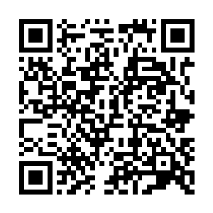 你觉得这个主意怎么样……我包里有一把枪……二维码生成