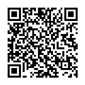 你认为他会敢于冒整个门派最重的刑法去杀了他哥哥二维码生成