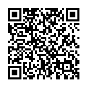 你认为你在奥运会上即便如愿再次得到冠军也是实至名归的吗二维码生成