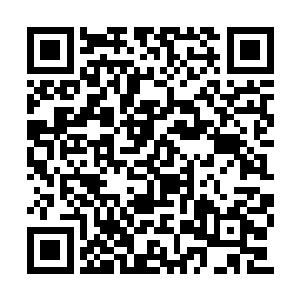 你认为就这点干粮和清水能活到跨越海洋回国去二维码生成