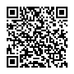 你认为能够夺得前十名的天才手中会缺少仙器吗二维码生成