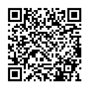 你让他突然用心思去对付人这根本就是一个错误二维码生成