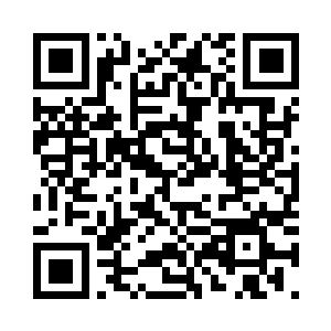 你让它们第二胎生一颗粉红色的珍珠二维码生成