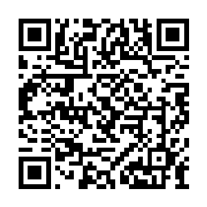 你让家族立刻从丹殿和符殿中各自选出十个弟子二维码生成