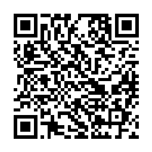 你让我回去对小姐说你被另外一个漂亮的小姐给带走了二维码生成