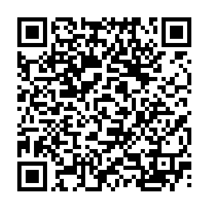 你让雄狮社的那些信任你的白痴甘愿做你的踏脚石陪你到新月草原卖命我也忍了二维码生成