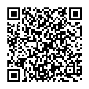 你该不会将这幅画和你在美术课本上看到的那些山水花鸟画混为一谈吧二维码生成