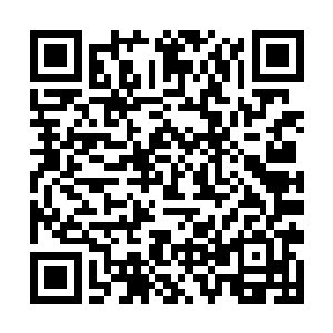你该不会是为了三天的饭才义无反顾来救我家染染吧二维码生成