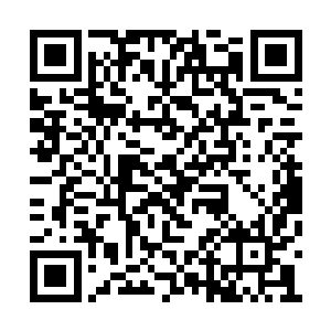 你该不会真的以为我刚刚说的话是在向你表白吧二维码生成